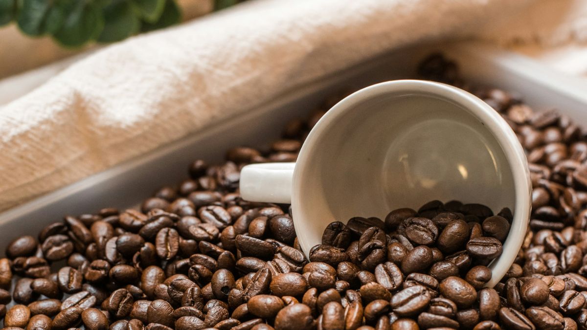 Arabica a Robusta – czym się różnią i którą kawę wybrać do eksp